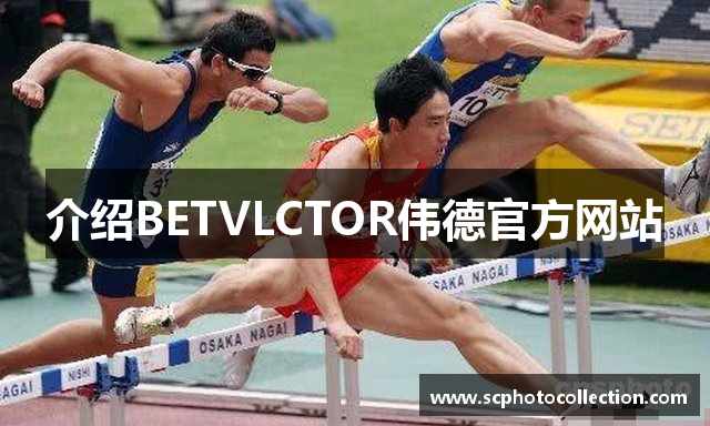介绍BETVLCTOR伟德官方网站